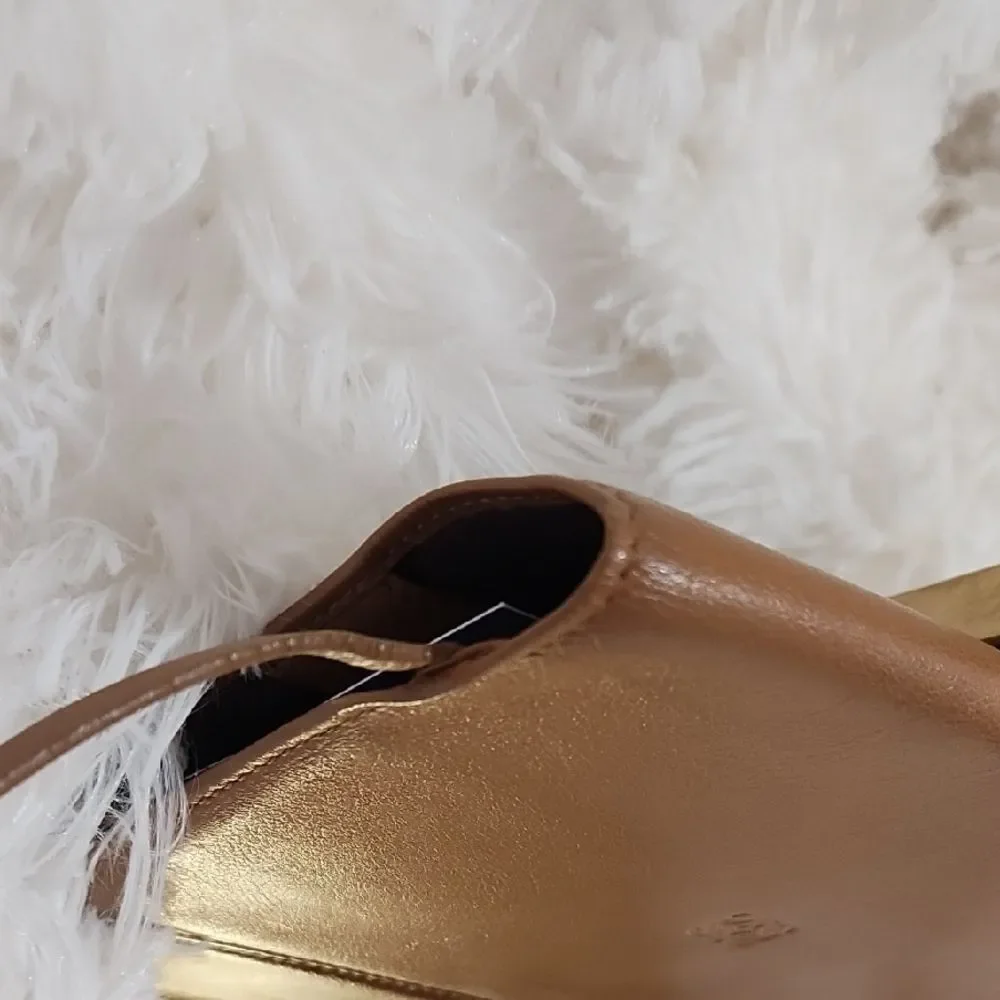 Loewe passport wallet